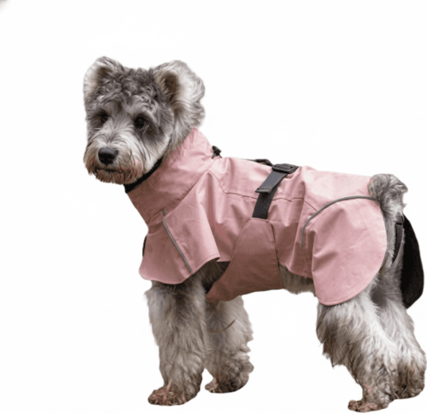 Rosa hundedekken - vann og vindtett