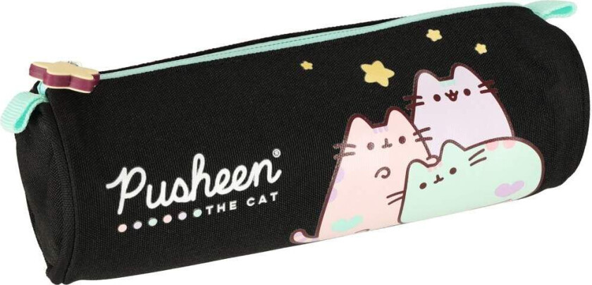 Pastell pennal med Pusheen-motiv