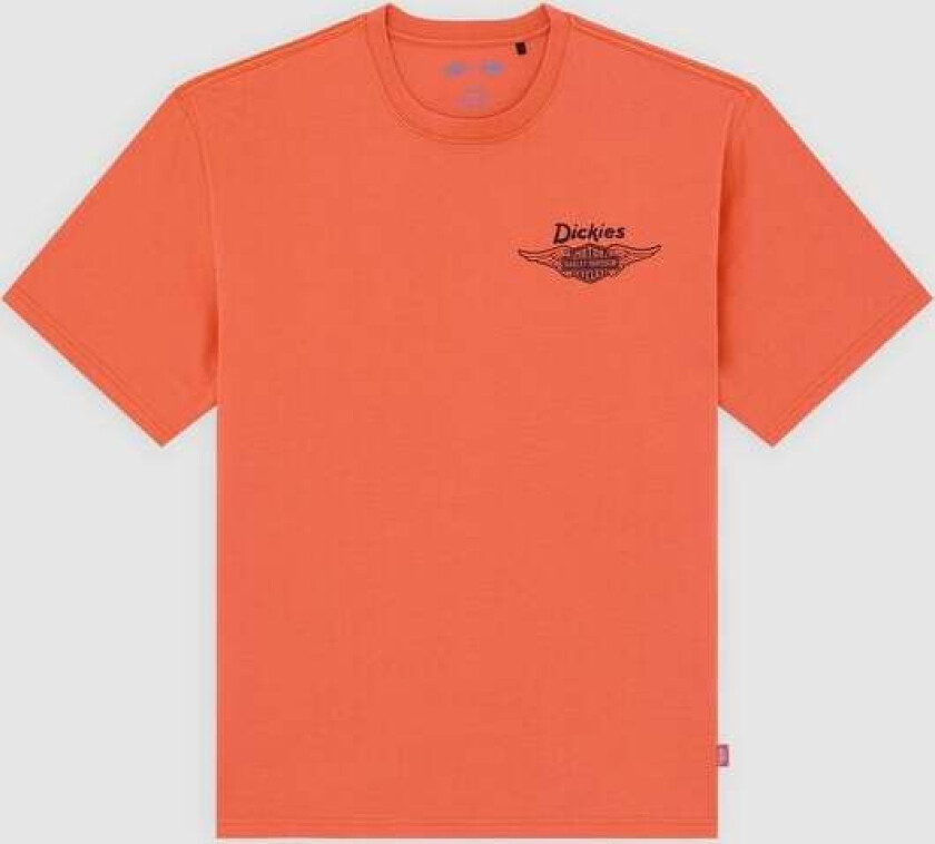 T-skjorte - DICKIES X HD TEE - S til XXL - Herrer - oransje
