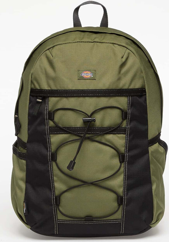 Ryggsekk Dickies Ashville Backpack Cypress Universal