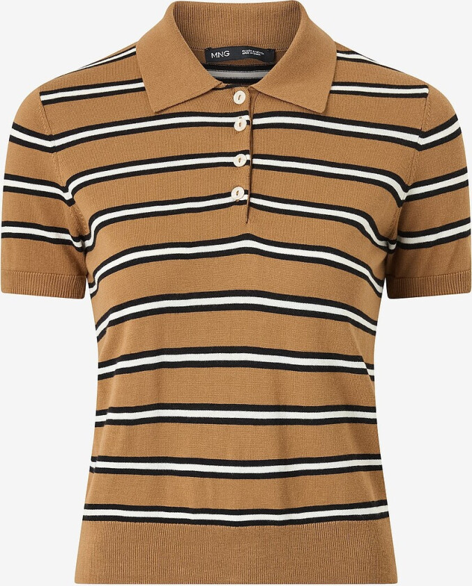 Pologenser Luko - Brun