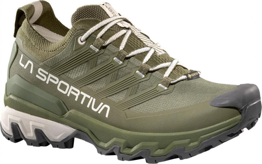 Ultra Raptor 3 Gtx W´S Hikingsko Dame, E47w04 Cypress/Chalk, 39.5