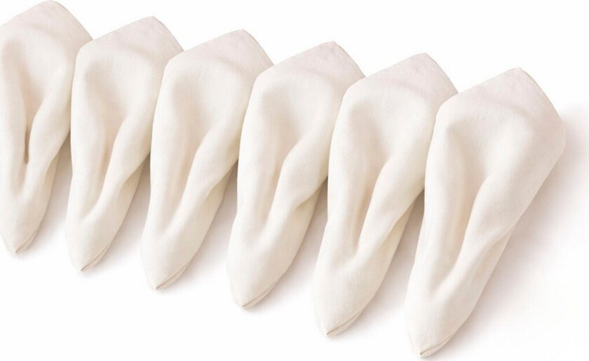 3st 2-pakning Serviett Evangelina - Beige