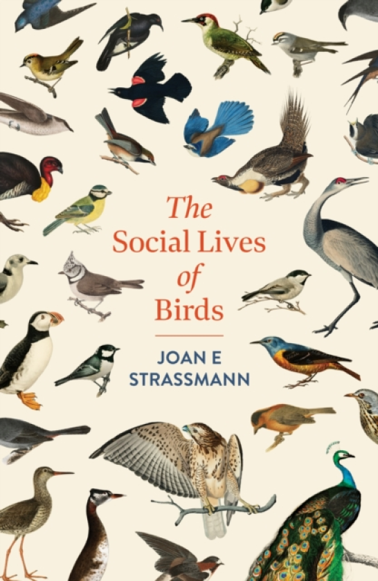 The Social Lives of Birds a mustread for bird and nature lovers