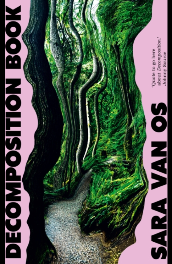 Decomposition Book A Novel