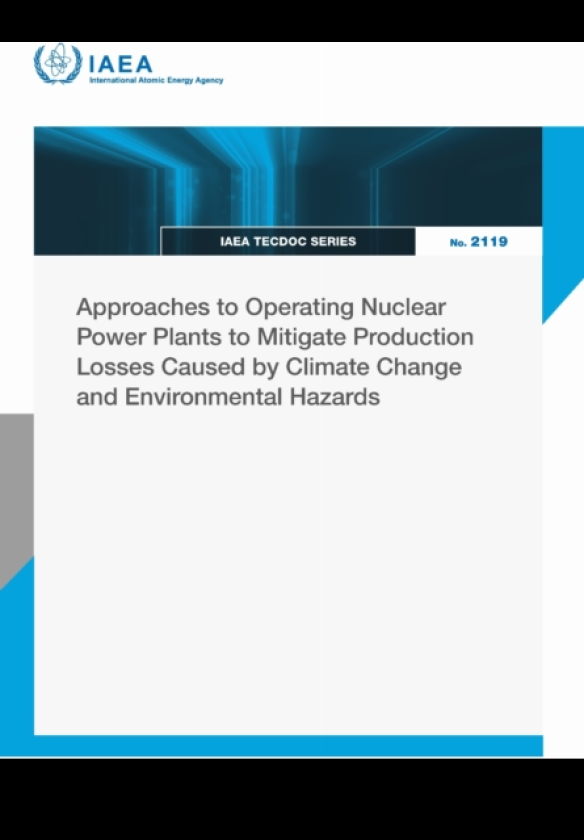 Approaches to Operating Nuclear Power Plants to Mitigate Production Losses Caused by Climate Change and Environmental Hazards