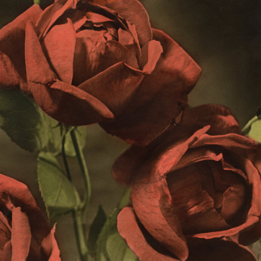 Cindy Another Country CD