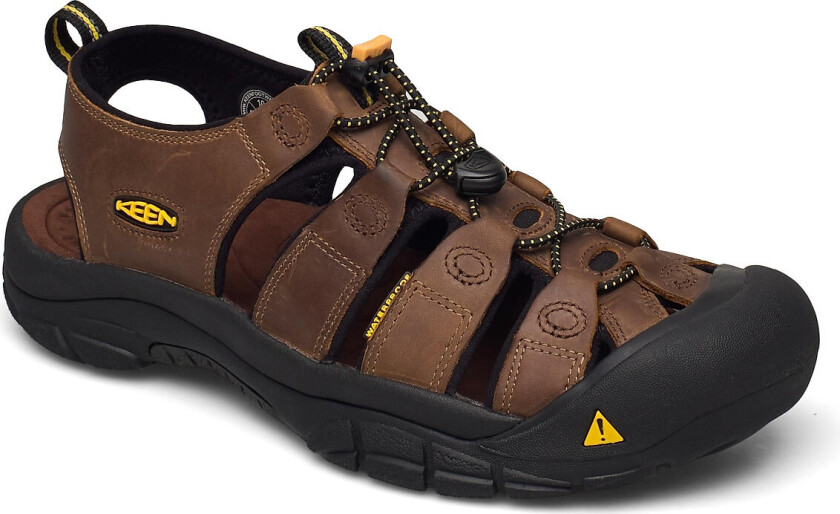 Ke Newport M Bison - Brown - 43