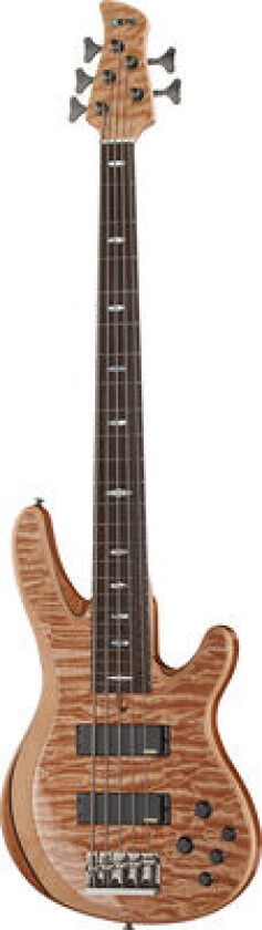 Trb1005jnt Bassgitar