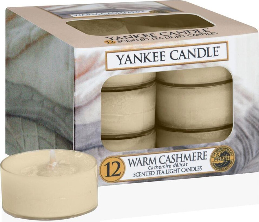 Tea Light Warm Cashmere