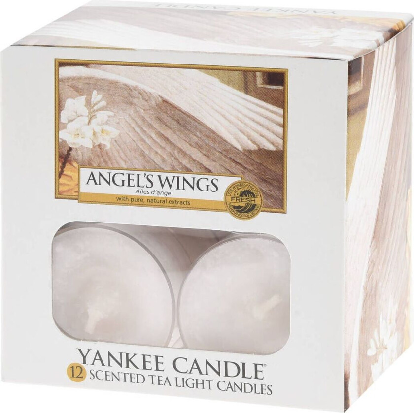 Tea Light -Angel's Wings