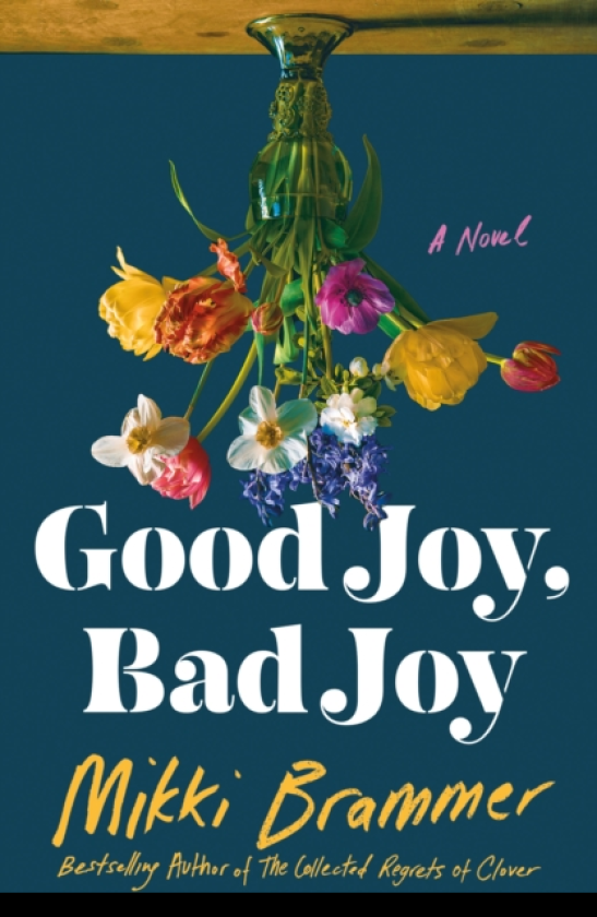 Good Joy, Bad Joy A Novel