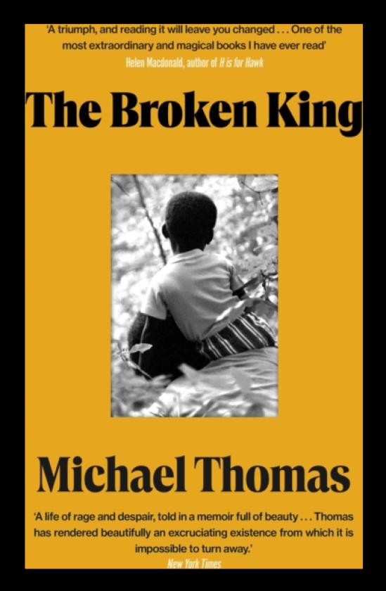 The Broken King