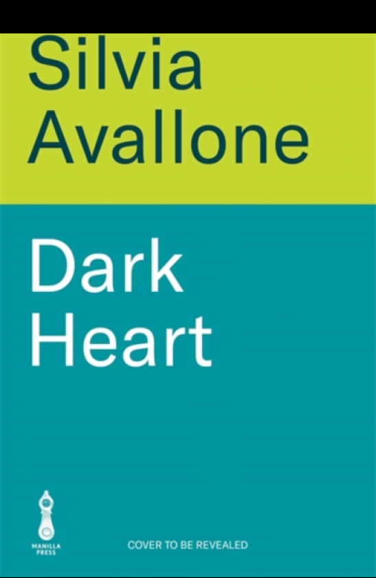 Dark Heart The stunning, evocative international bestseller a story of love, guilt, betrayal and atonement