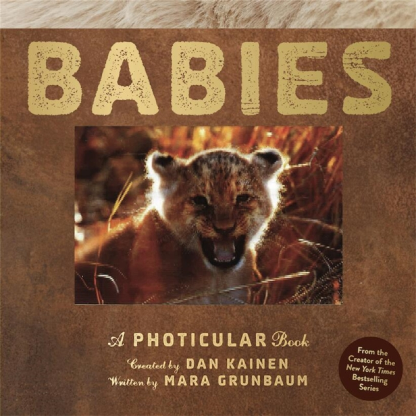 Babies A Photicular Book