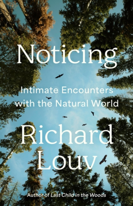 Noticing Intimate Encounters With the Natural World