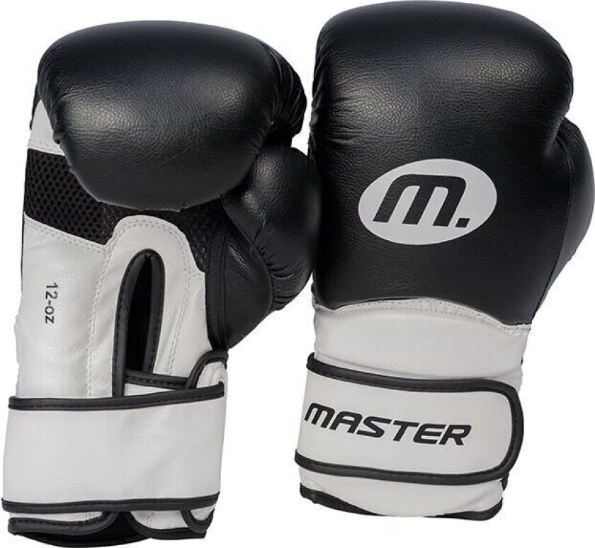Master Fitness Boxhandske