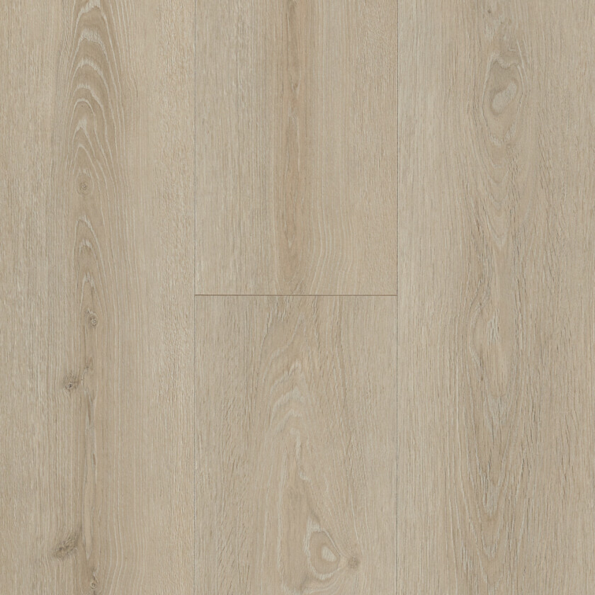 Laminatgulv nordic universal champs elysees eik t: 10.2mm b: 232mm l: 2413mm