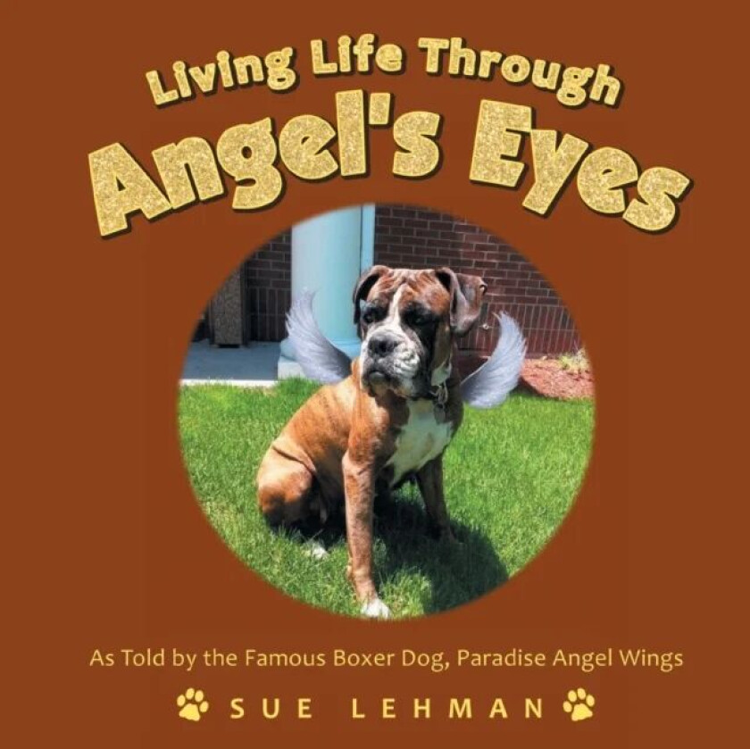 Living Life Through Angel&#039;s Eyes av Sue Lehman