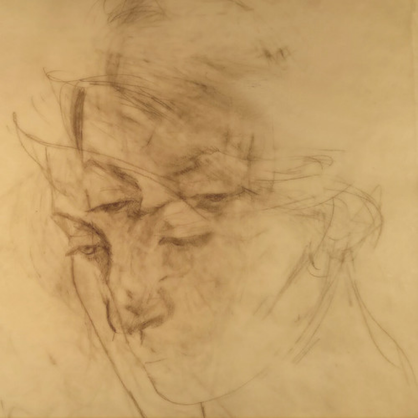 Joan Shelley Cost Of Cold / Here & Whole LP/Vinyl