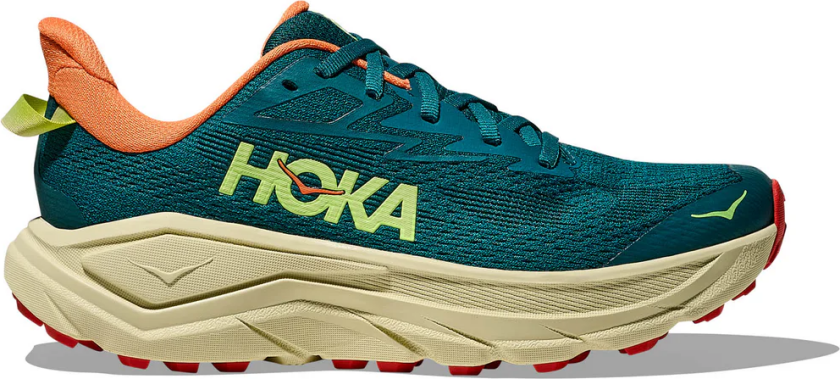 Challenger 8 Dame Tidal Wave/Pampas Grass 38