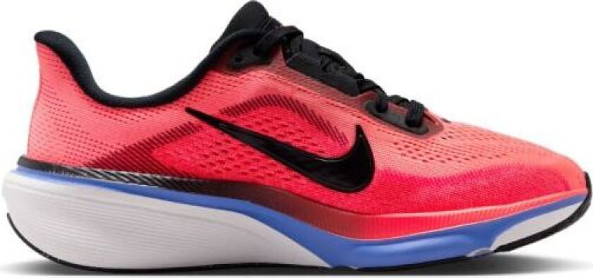 Air Zoom Pegasus 42