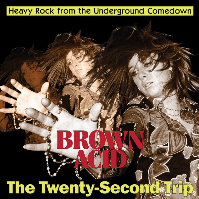 Diverse Artister Brown Acid The TwentySecond Trip LP/Vinyl