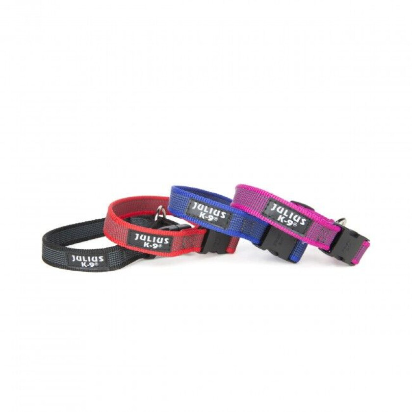 Color & Gray® Hundehalsbånd 25 mm (Svart)
