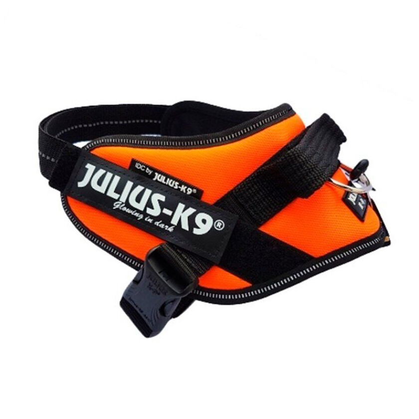 IDC® Puppy Valpesele - UV Orange (Baby1)