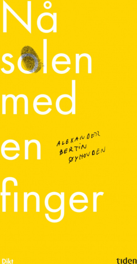 Nå solen med en finger av Alexander Bertin Øyhovden