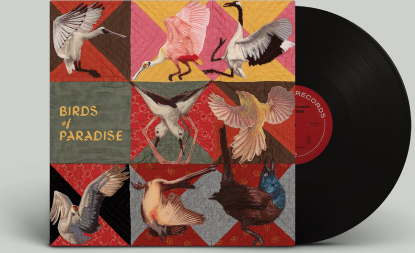 Thomas Dollbaum Birds of Paradise LP/Vinyl
