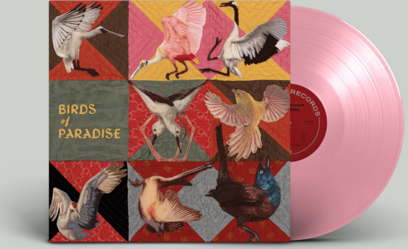 Thomas Dollbaum Birds of Paradise LP/Vinyl
