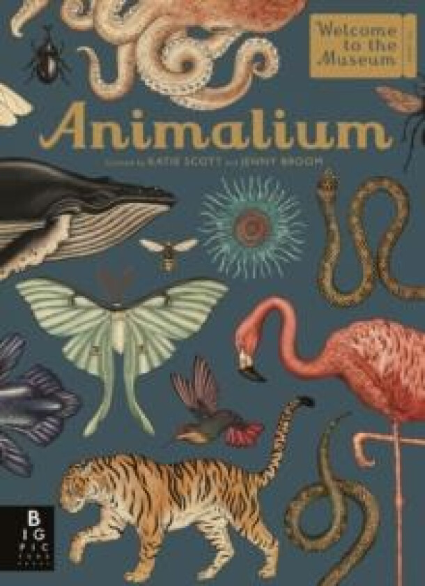 Animalium av Jenny Broom