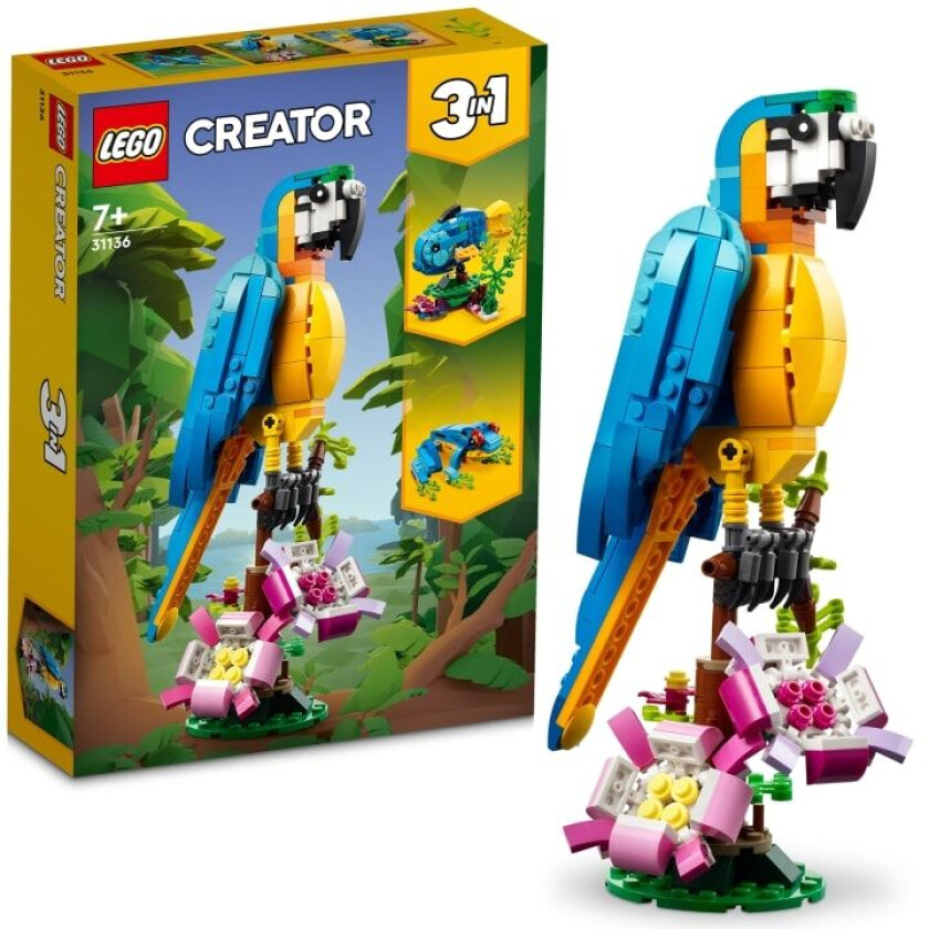 Bilde av Lego Creator - Eksotisk Papegøye 31136