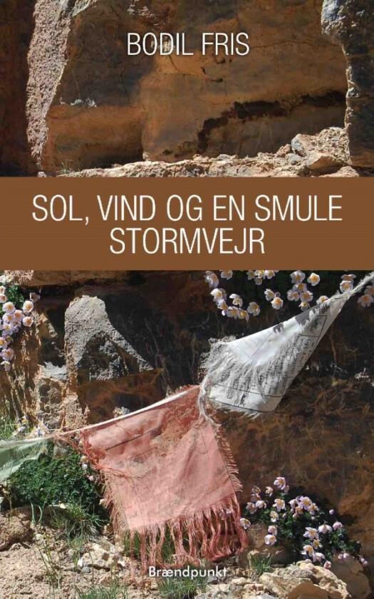 Sol, vind og en smule stormvejr | Bodil Fris | Språk: Dansk