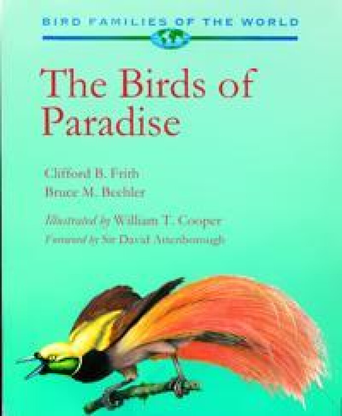Birds of Paradise