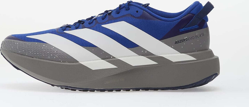 Joggesko adidas Adizero Evo SL Atr Team Royal Blue/ Ftwr White/ Grey Three EUR 42 2/3