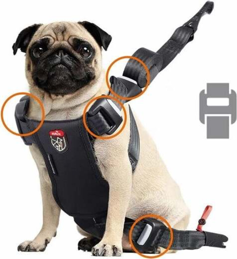 Travel Safe Isofix Car Safety Harness Red Medium 14-26kg