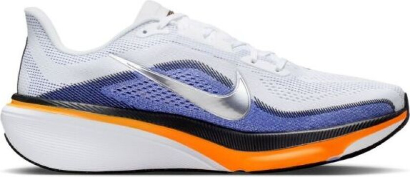 Pegasus 42