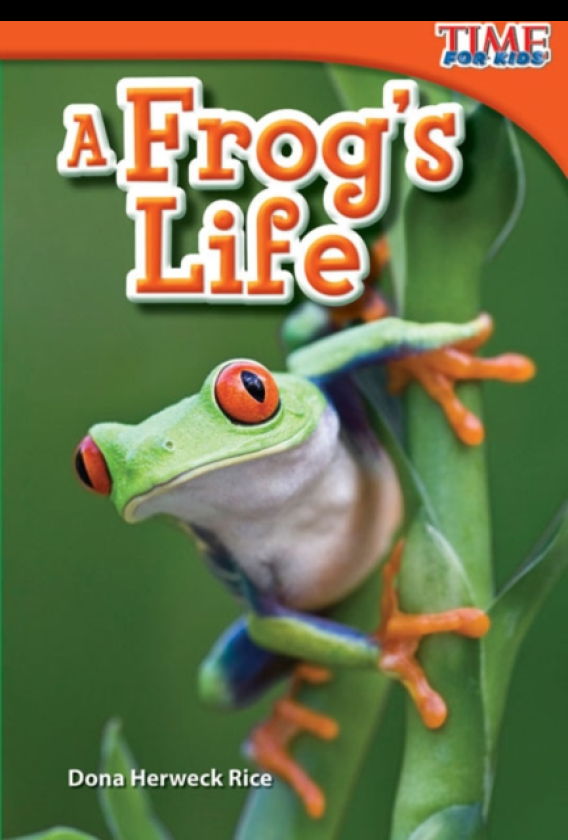 A Frog's Life