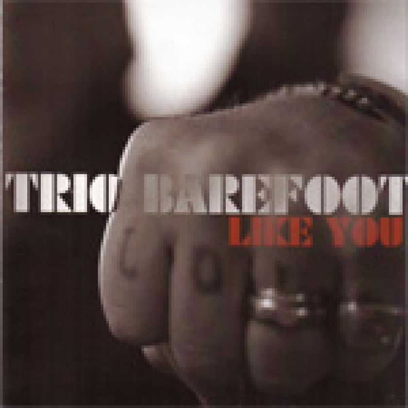 Trio Barefoot Like You CD