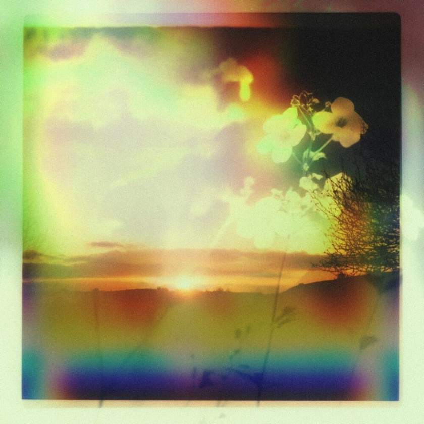 Tim Reaper Sage LP/Vinyl