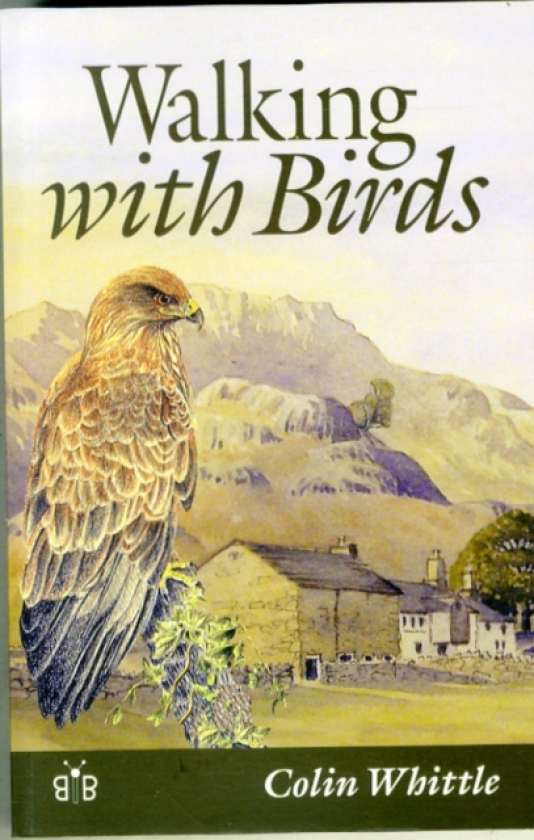 Walking with Birds An Exploration of Wildlife and Landscape of a Cumbrian Valley