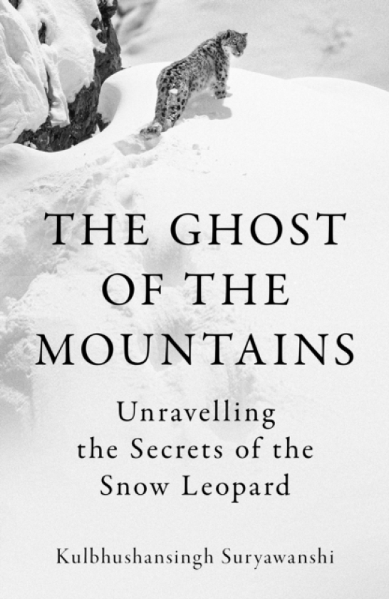 The Ghost of the Mountains Unravelling the Secrets of the Snow Leopard