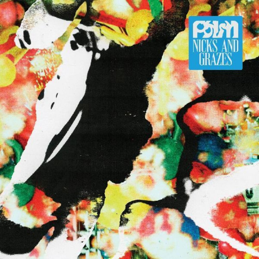 Palm Nick And Grazes LP/Vinyl