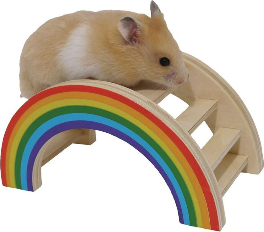 rainbow lekebro