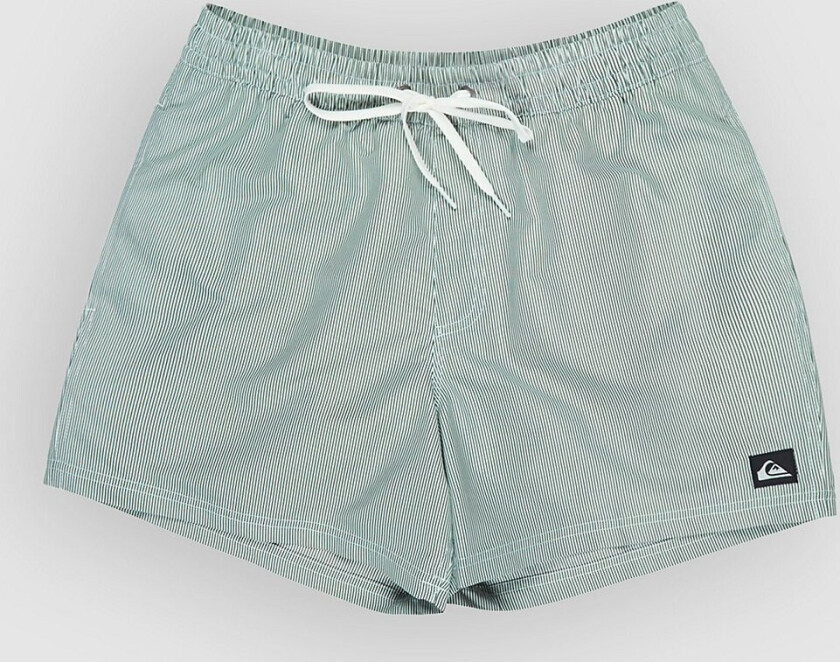 Everyday Deluxe Volley 15 Boardshorts grønn