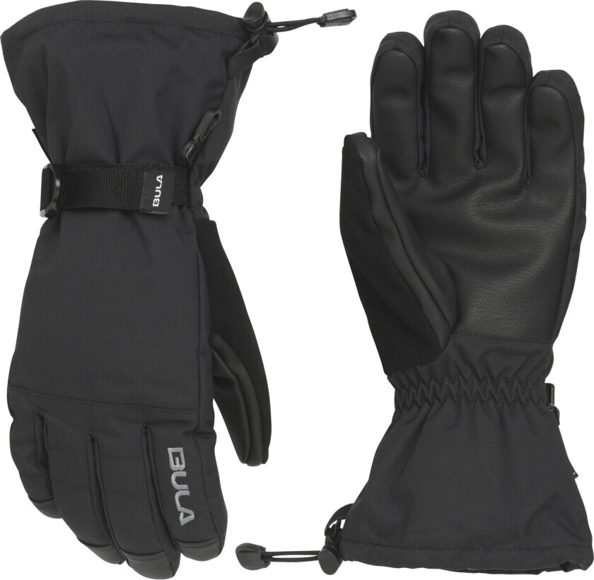 Bilde av Bula Alpine Gloves Move 23/24, skihansker, herre BLACK