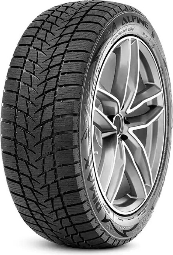 Bilde av Dimax Alpine 195/65 R15 91T Dekk