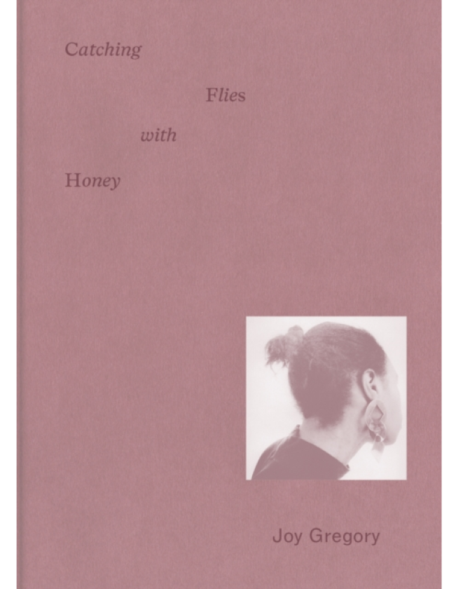 Joy Gregory Catching Flies With Honey
